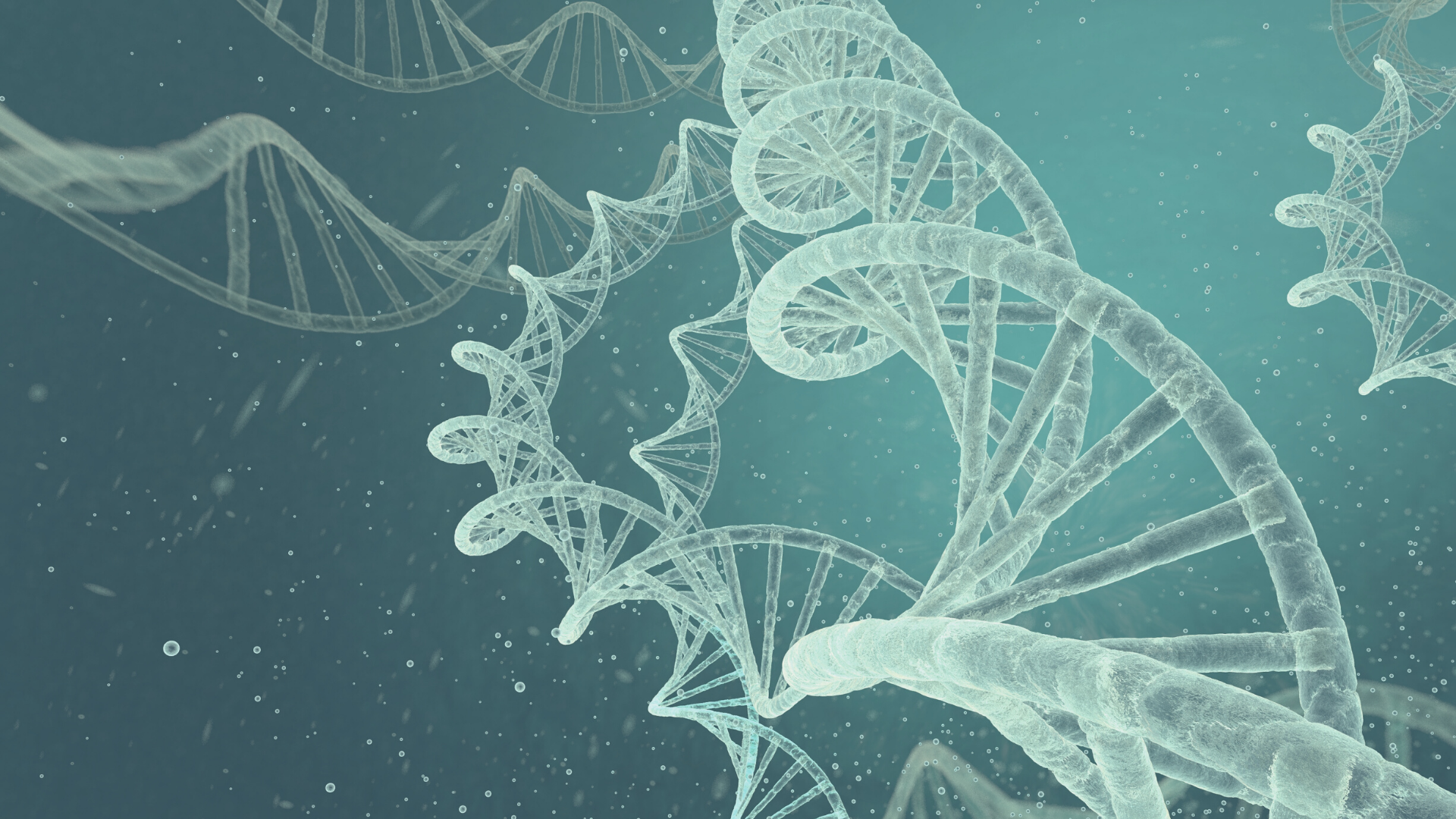 cluster of two strand DNA molecules